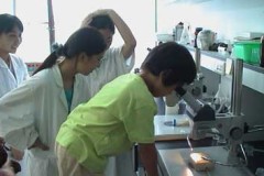 Young scientist's visit (2002) (from left Dong Mei, Tang Xiaoying, Raylin)